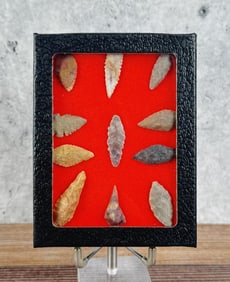 Riker Mount of Native American Indian Arrowheads