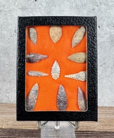 Riker Mount of Native American Indian Arrowheads