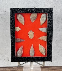 Riker Mount of Native American Indian Arrowheads