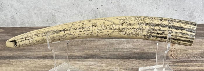 Charles Morgan New Bedford Resin Tusk