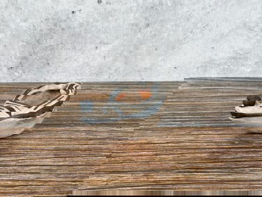 Anasazi Silent Sands Effigy Bird Bowl