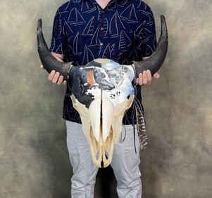 Roullier Blackfoot Indian Painted Buffalo Skull