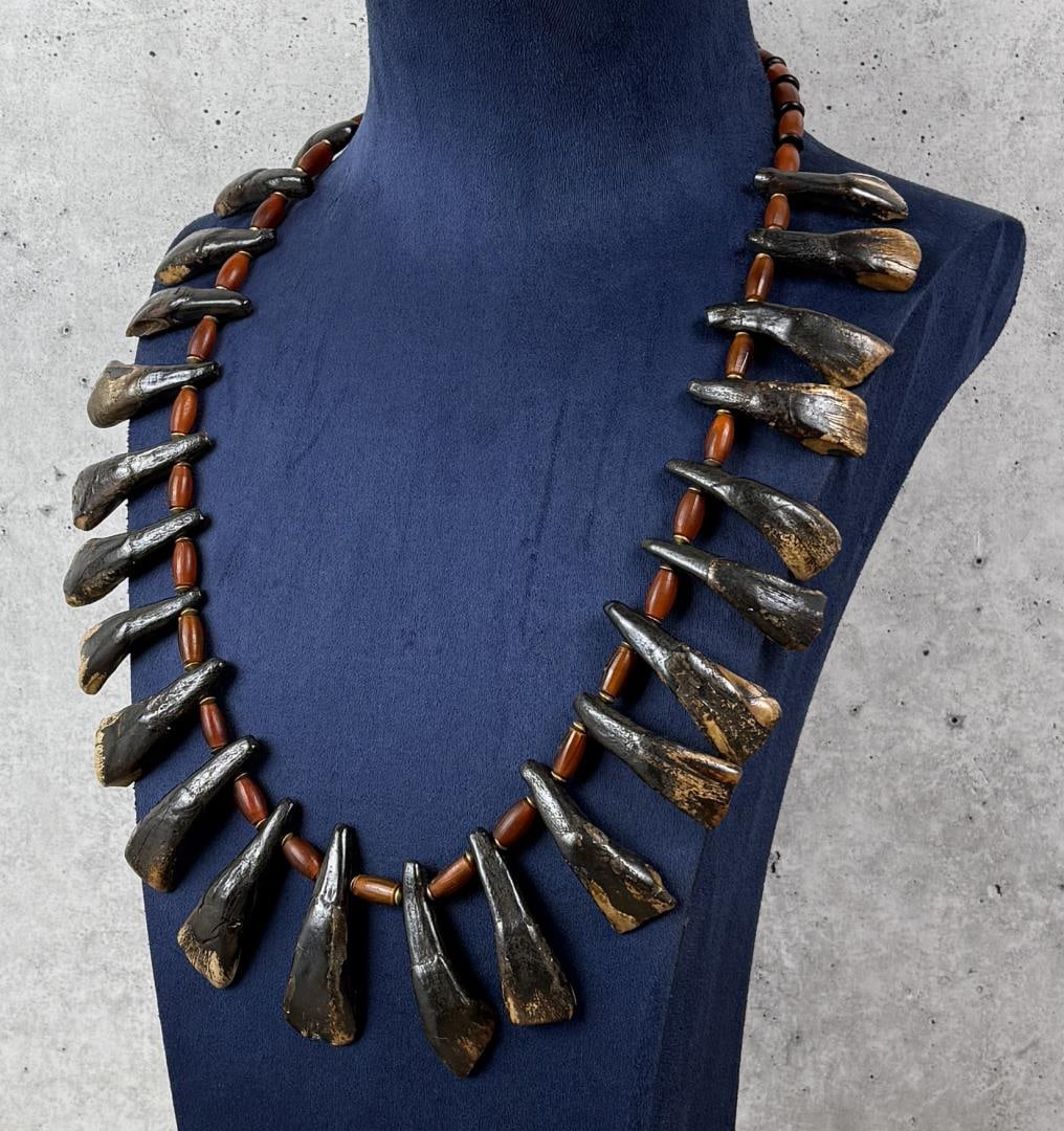 Plains Indian Buffalo Tooth Necklace: 15 1/2" long closed.