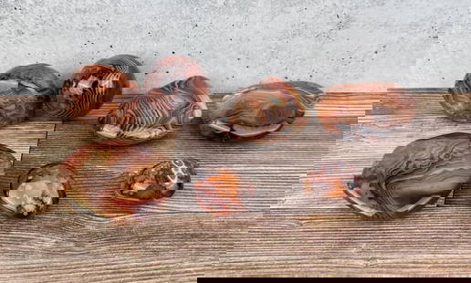 Collection of Polished Agates: Nice grouping.