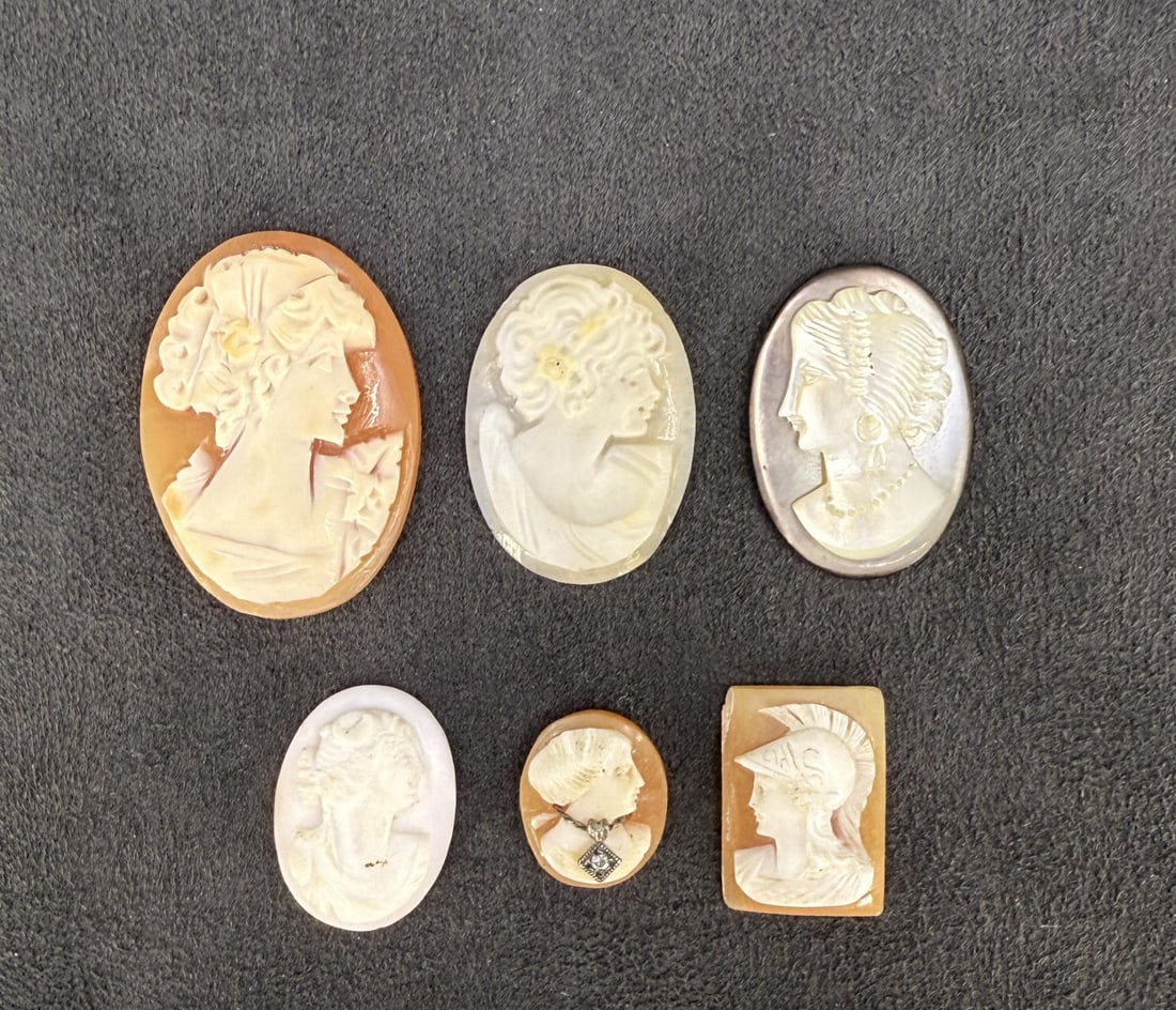Collection of Victorian Shell Cameos (1 of 5)