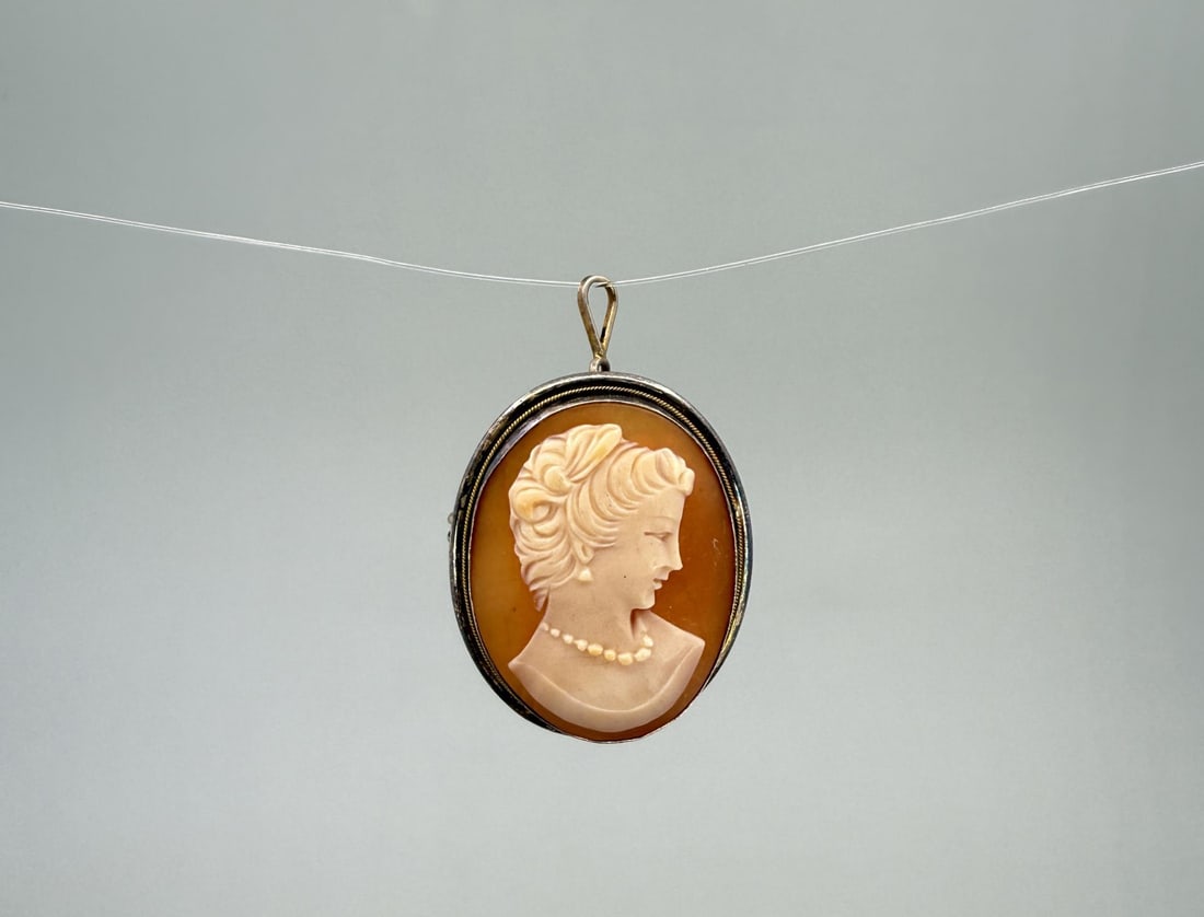 Carved Shell Cameo .800 Silver Brooch Pendant (1 of 4)