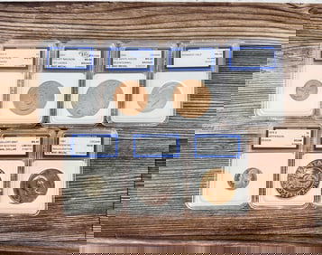IGS Graded Coins