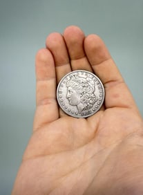 1902 P Morgan Silver Dollar