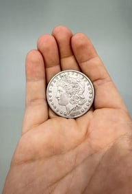1880 P Morgan Silver Dollar