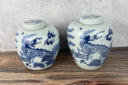 Antique Chinese Porcelain Ginger Jars