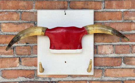 Montana Ranch Used Steer Horn Coat Rack