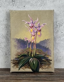Elmer Sprunger Calypso Orchid Oil Painting
