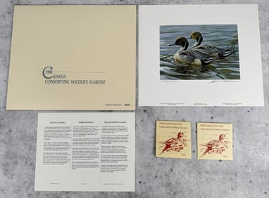 Robert Bateman Pintails in Spring Duck Stamp Print