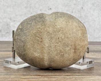 Ancient Native American Indian Stone Hammer Head