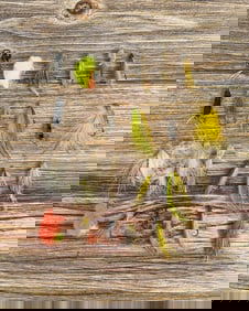 Collection of Montana Trout Fishing Flies