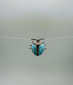 Sterling Silver Turquoise Lady Bug Brooch