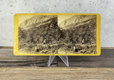 E.&H.T. Anthony Profile Cannon Mountain Stereoview