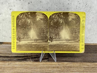 Pulteney Park and Fountain Stereoview