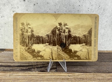 W.H. Jackson Needle Mountains Stereoview