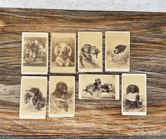 Collection Of CDV Photos With Dogs