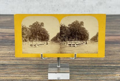 D. Barnum Union Hotel 7th New York Stereoview