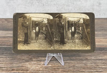Black Americana Chicken Thief Stereoview