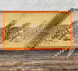Florida Slaves Picking Cotton Stereoview Photo