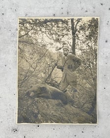 Shikar India Hunting Himalayan Brown Bear Photo