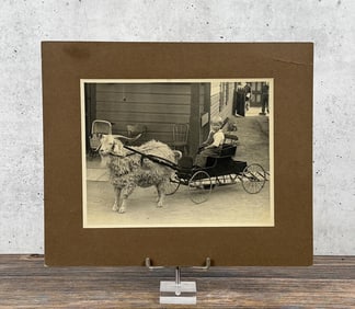 Montana Goat Cart Cabinet Photo