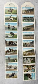 Collection of Fold Out Folio Postcards