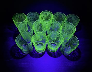 Federal Georgian Love Birds Uranium Glass Tumblers