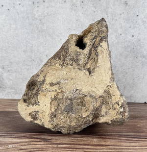 Montana Triceratops Brow Horn Dinosaur Fossil: Hollow space inside has turned into a grape agate. 8 3/4" by 8 1/2" by 6 3/8". 16lbs 12oz.