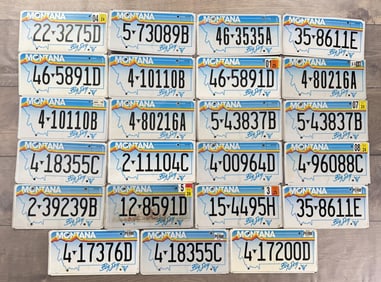 Collection of Montana License Plates 1991 Base