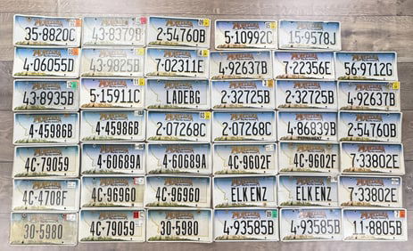 Collection of Montana License Plates 2006 Base