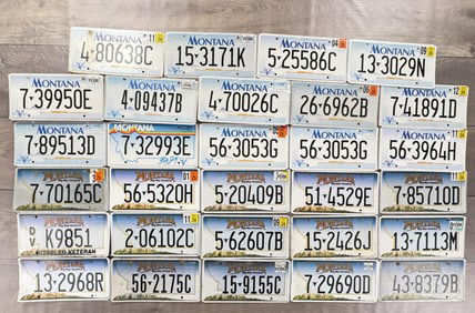 Collection of Montana License Plates
