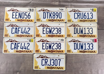 Collection of Montana License Plates