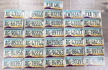 Collection of Arizona License Plates 2008