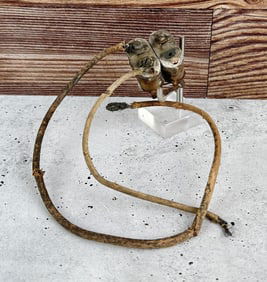 Harley Davidson Motorcycle J Model Wiring Harness