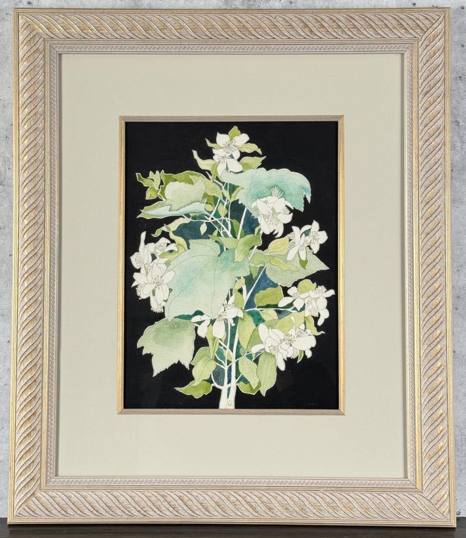 Harold Balazs Thimble Berry Watercolor Painting: Title is Mock Orange Thimble Berry. 12" by 15 1/2" unframed. 23 1/2" by 28" framed. Watercolor on Paper. From the Private Collection of James H and Pauline Harken. Inventory #959 Harold Balazs (1928 -