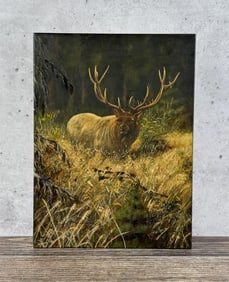 Christopher Willis Missoula Montana Elk Painting