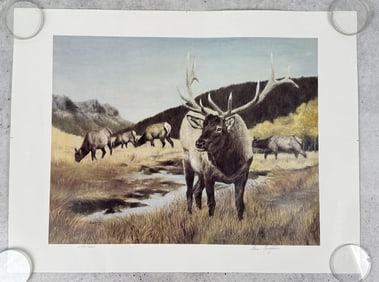 Dan Coughlin Elk Print
