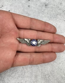 National Association Air Force Women Wings