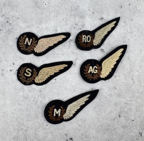 WW2 RAF British Royal Air Force Wing Insignia