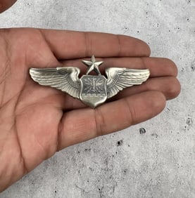 Vietnam War Senior Navigator Sterling Wings