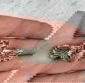 Vietnam War Master Air Crew Sterling Wings