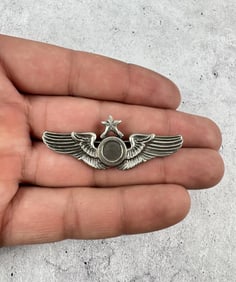 WW2 USAAF Army Air Corps Observer Sterling Wings