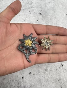 WW2 German Edelweiss Medals Badges