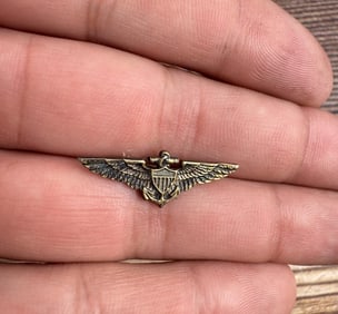 WW2 US Navy Pilot Sterling Wings