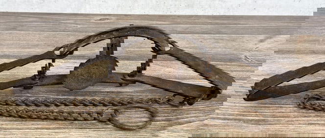 Newhouse ATC No 14 Wolf Trap with Teeth