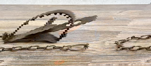 Oneida Victor 4 Jump Coyote Trap w/ Teeth